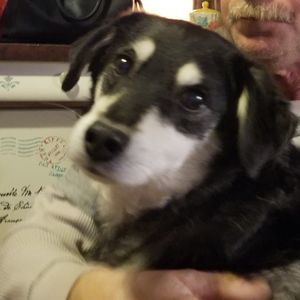 Meet your Posher, Barbara